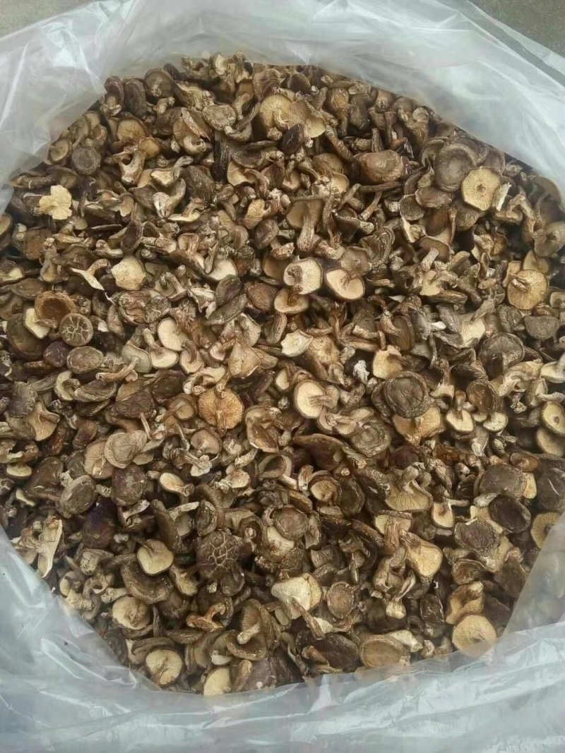香菇批发价有想要的联系我