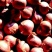 红皮毛葱，小葱毛葱吉林毛葱珠，混葱，二到五