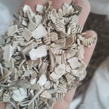 中药材瓦楞子煅瓦楞子山东无硫不包邮