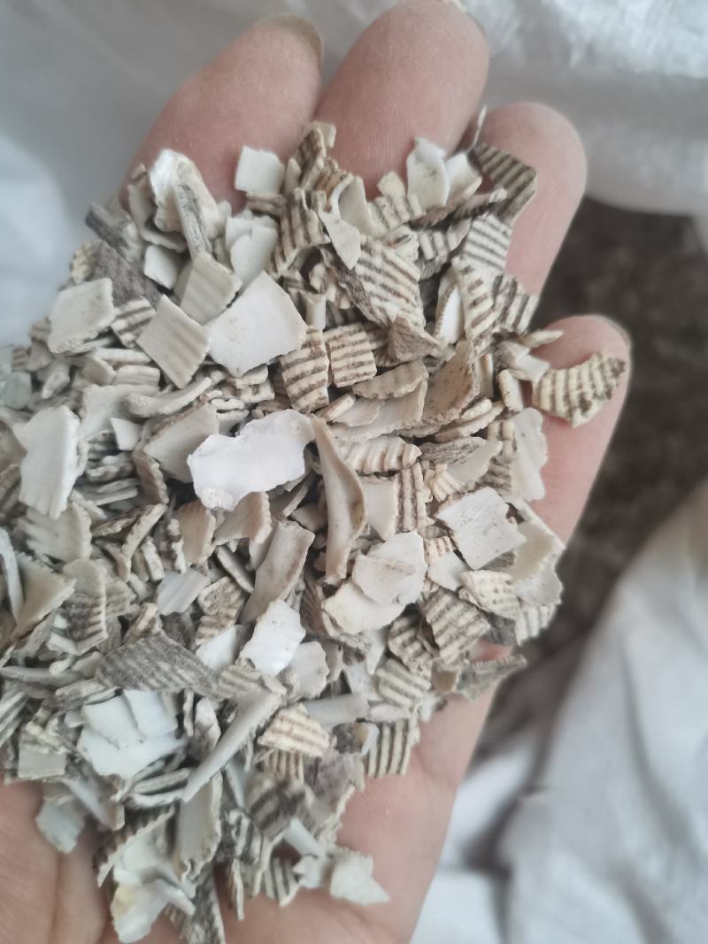 中药材瓦楞子煅瓦楞子山东无硫不包邮