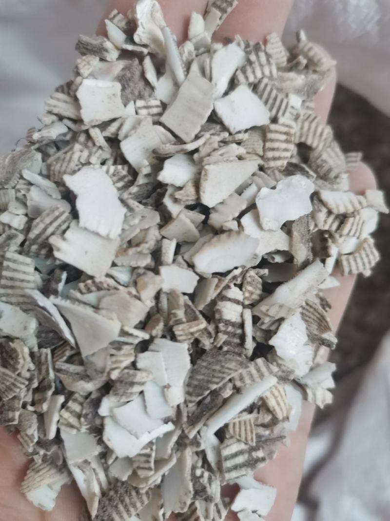 中药材瓦楞子煅瓦楞子山东无硫不包邮
