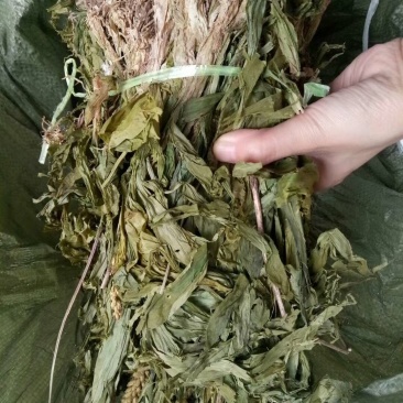 无硫野生正品见血清新鲜干货包邮