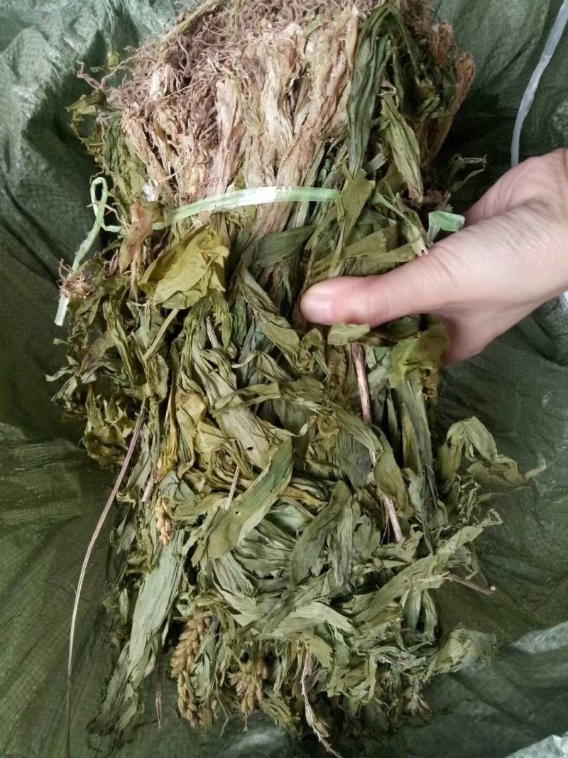 无硫野生正品见血清新鲜干货包邮