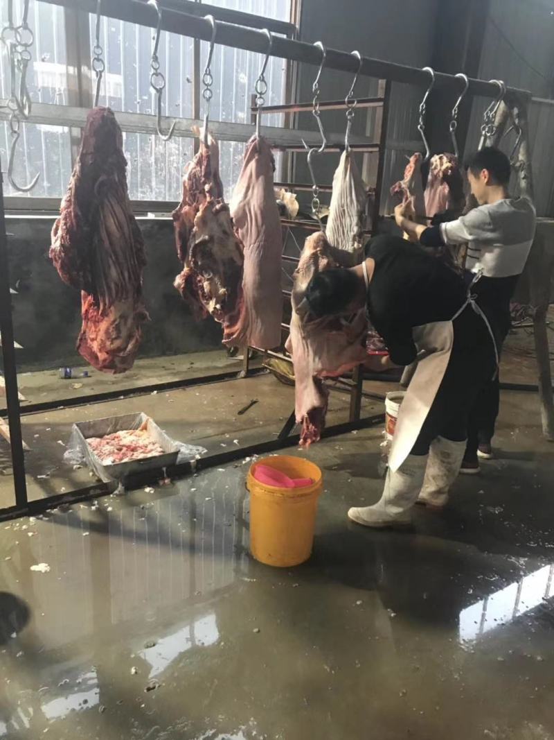 驴肉