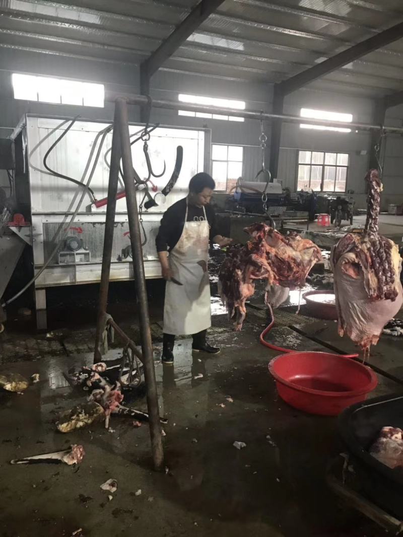 驴肉