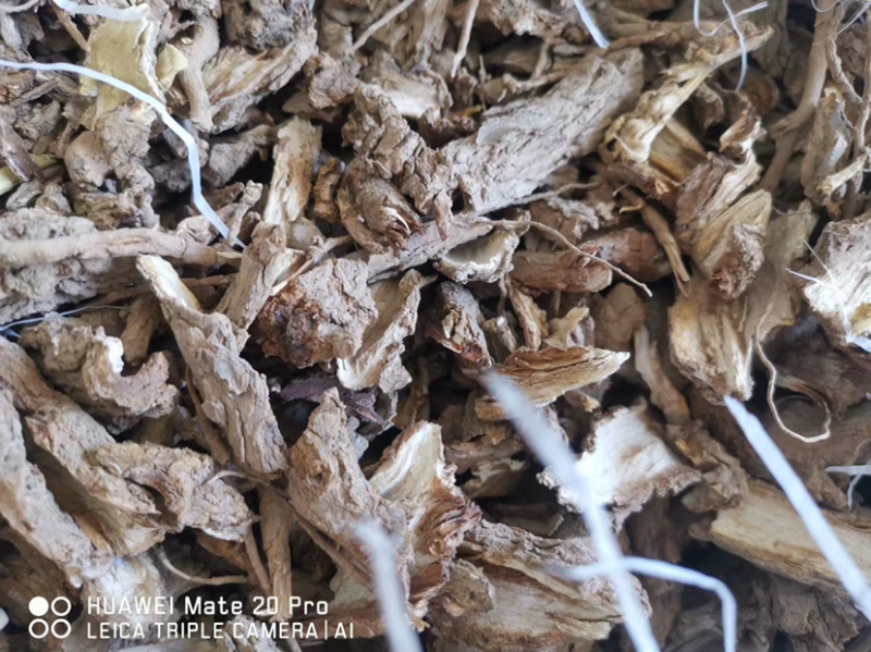 地骨皮产地大货供应家种地骨皮