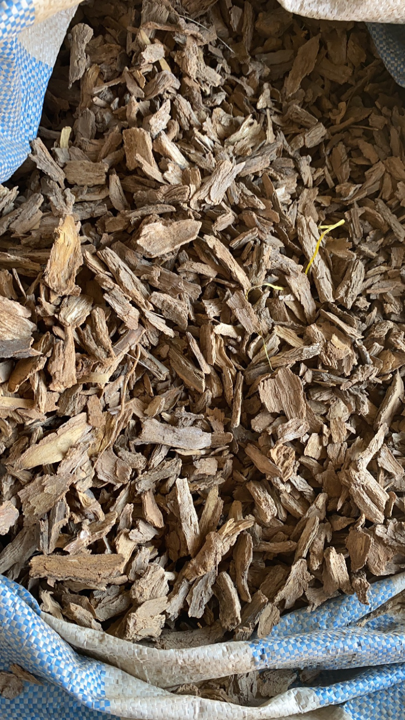 地骨皮产地大货供应家种地骨皮