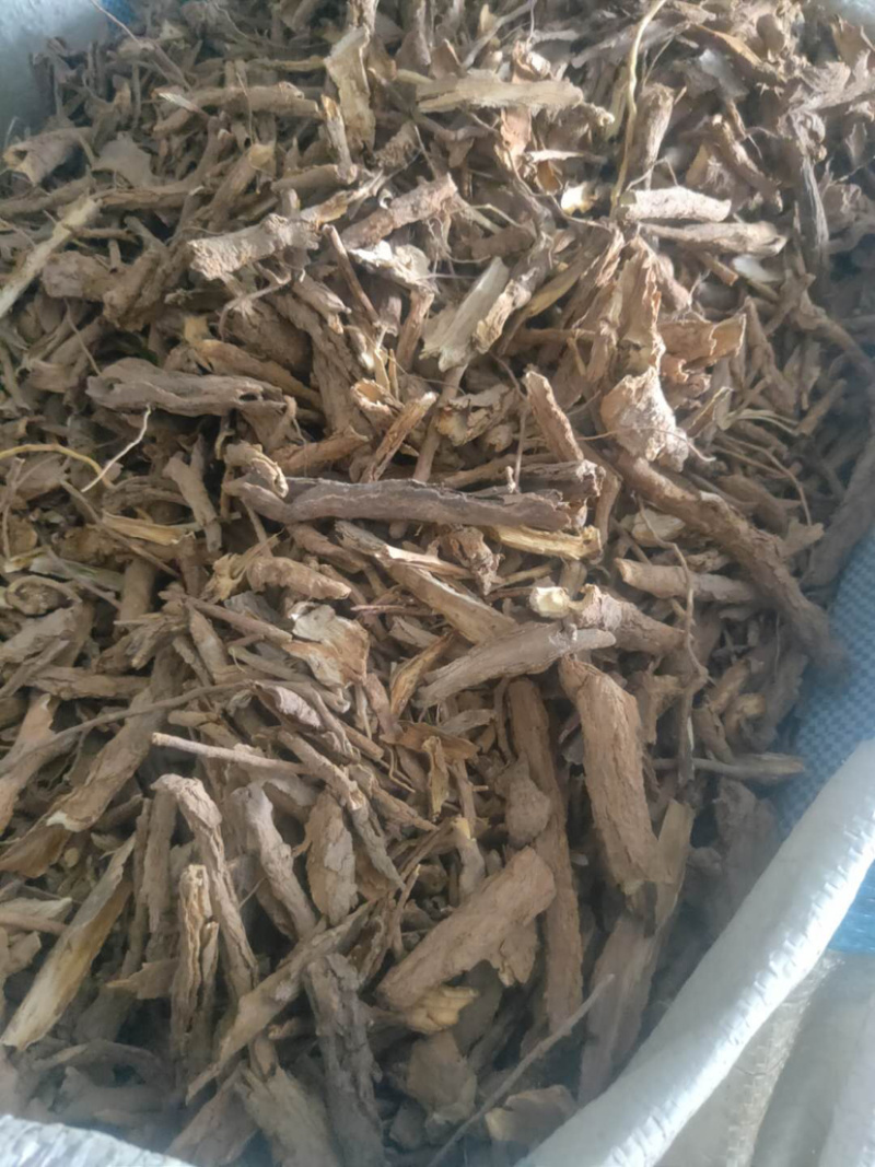 地骨皮产地大货供应家种地骨皮