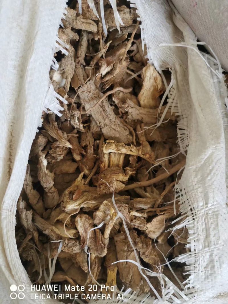 地骨皮产地大货供应家种地骨皮