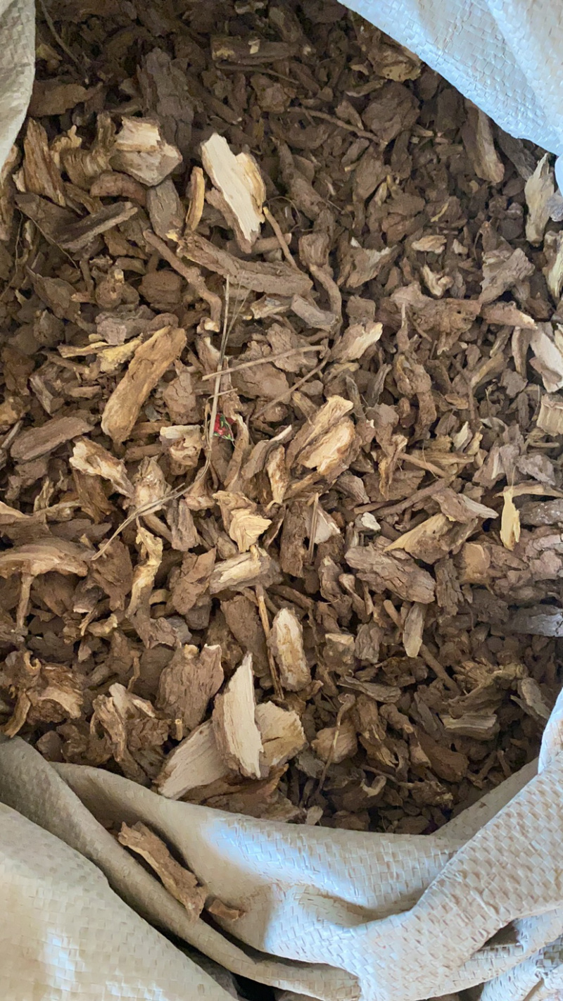 地骨皮产地大货供应家种地骨皮