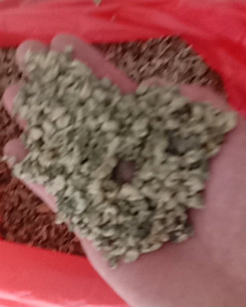 荷叶，常年批发供应各种规格湖北无硫荷叶丝