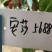 辣椒尖椒种子荷兰安莎5688红尖椒坐果多果型直耐寒