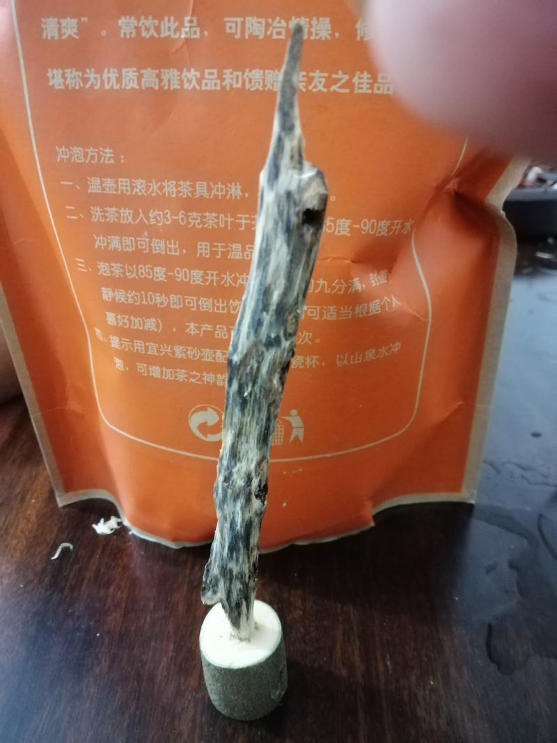 绿奇楠金丝油一代小苗，奇楠苗，结香产量高生长快过手留香