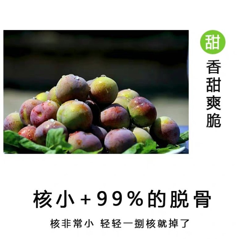 半边红李子