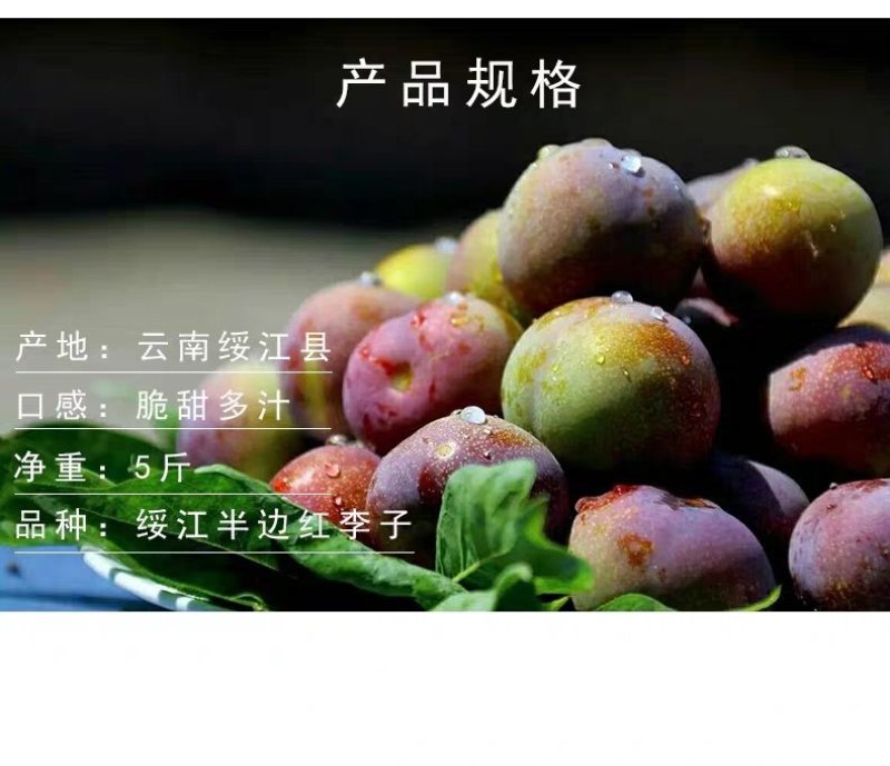 半边红李子