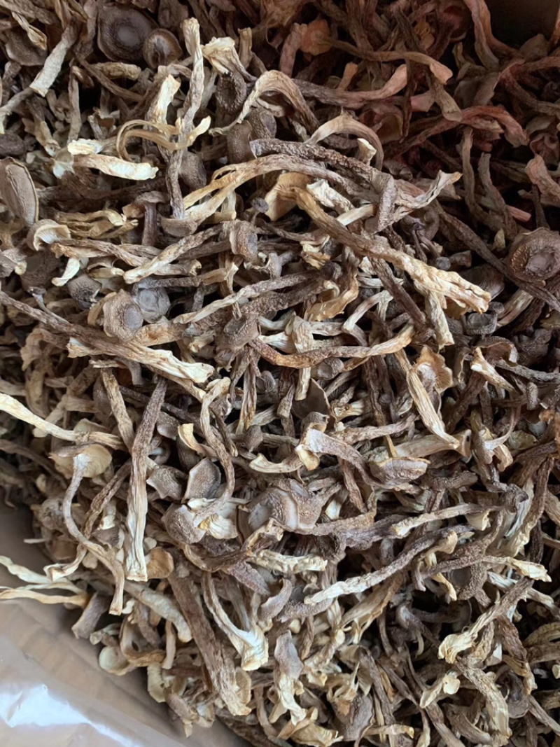 鹿茸菌干货产地直销可视频看货支持线上保障交易