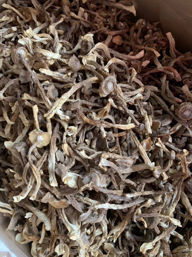 鹿茸菌干货产地直销可视频看货支持线上保障交易