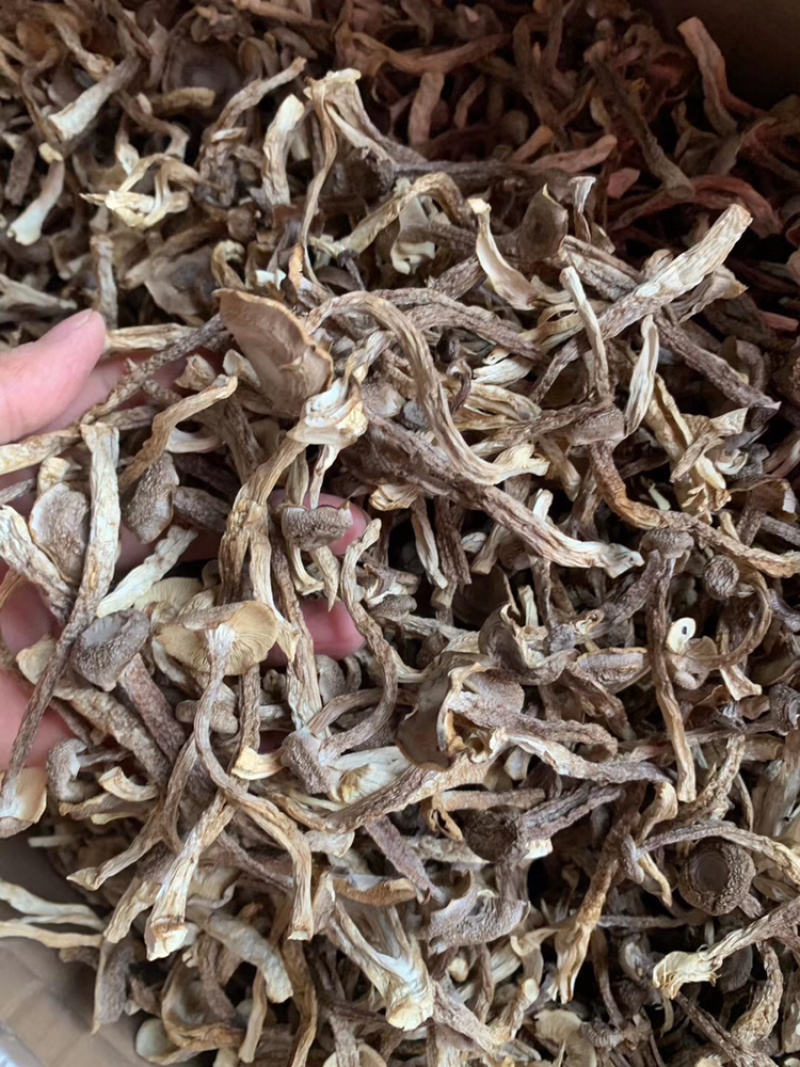 鹿茸菌干货产地直销可视频看货支持线上保障交易