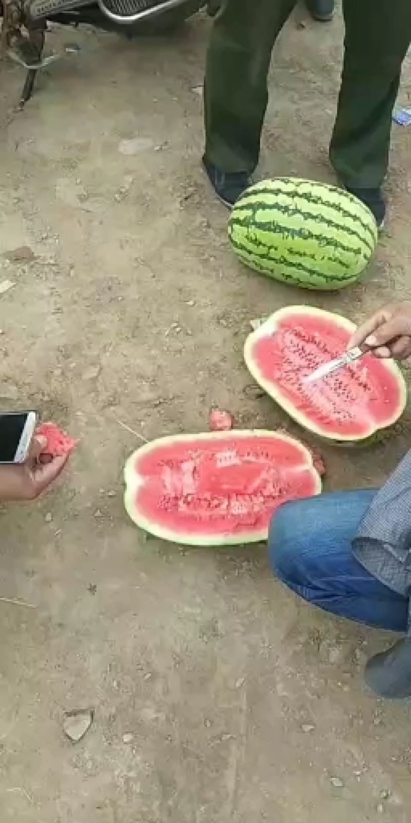 宁夏富硒苹果，本着早晚温差大的条件！苹果质量非常好！