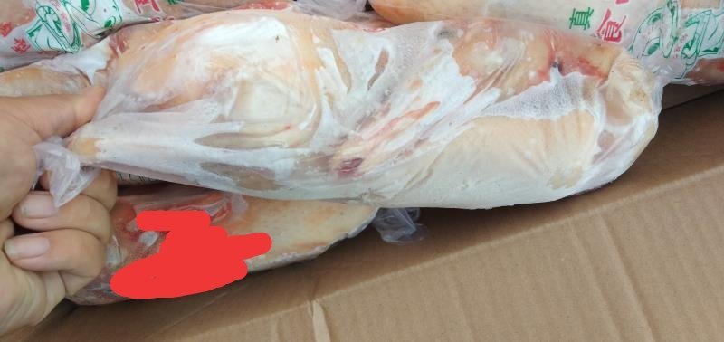 二级白条鸭欢迎咨询下单