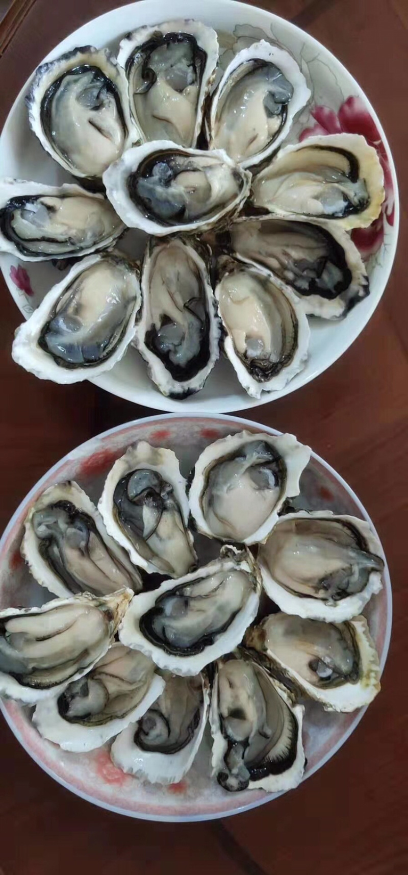 鲜活生蚝全壳牡蛎壳薄肉肥每天现捞现发保证新鲜