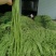 精选豇豆/长豆角上市,产地收购,货源充足,欢迎采购咨询