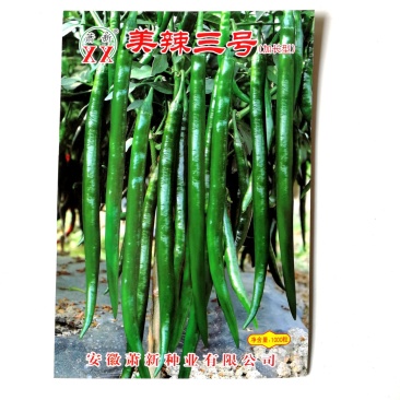 美辣三号（加长版）中熟细长羊角型线椒高产适应性广