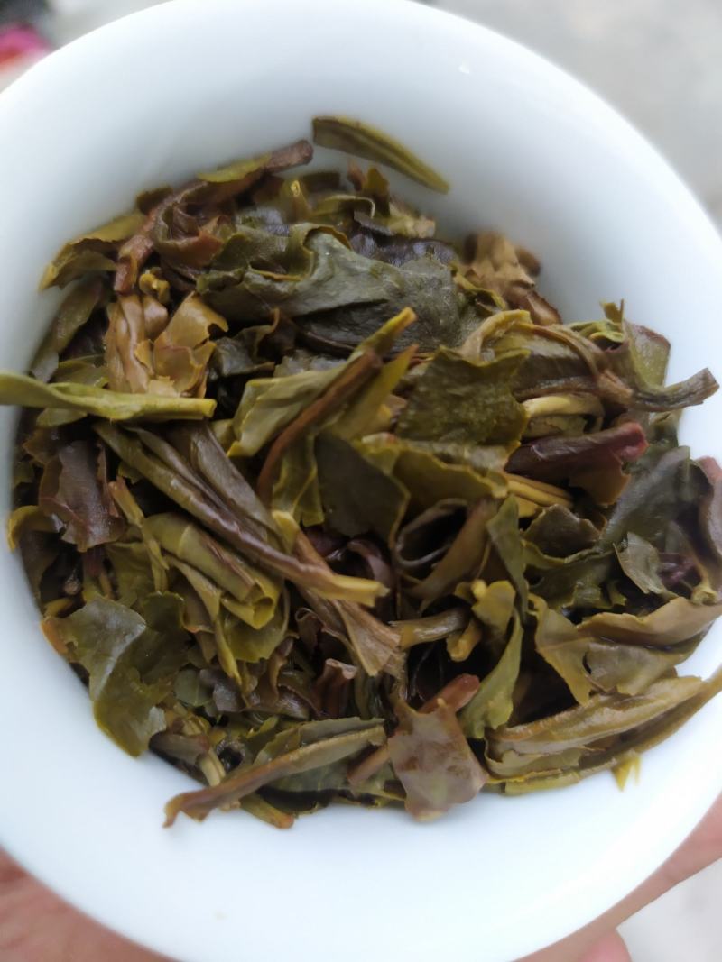 越陈越香普洱生茶17年云南勐海七子饼茶茶树王茶叶古树生普