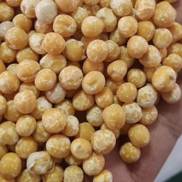 白豌豆仁脱皮豆仁黄豌豆仁