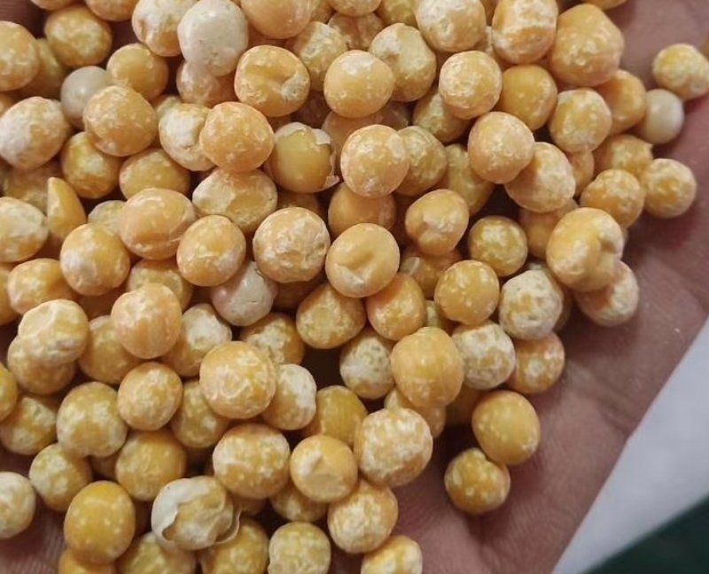 白豌豆仁脱皮豆仁黄豌豆仁