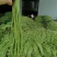 精选长豆角,豇豆,新鲜采摘,支持视频看货,质量可靠