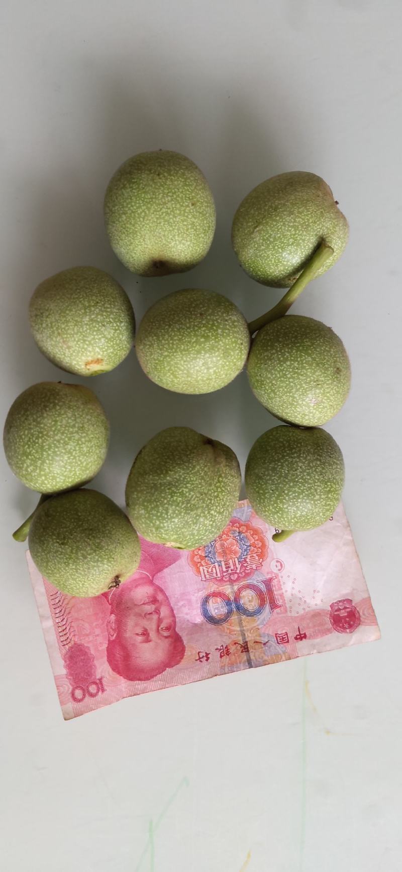 45以上辽系青皮核桃大量上市。太行山脚下气候适宜，品种纯