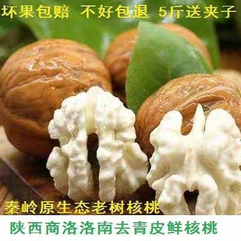 农家去青皮新鲜湿核桃嫩核桃生核桃鲜核桃大薄皮原味孕妇核桃