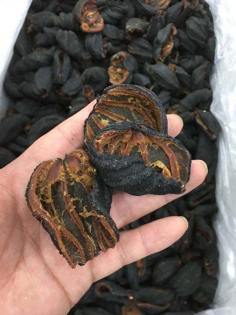 【海参】北极红海参深海参皮淡干海参干货漂亮足干一件代发