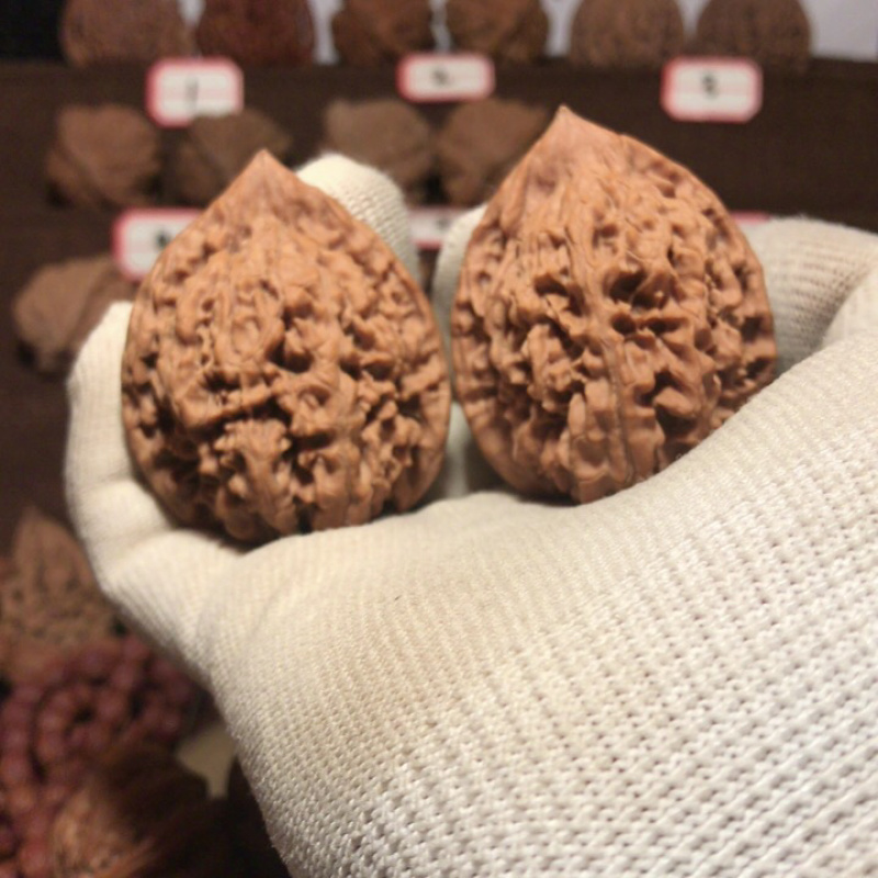 文玩核桃麻核桃青皮桃核手串