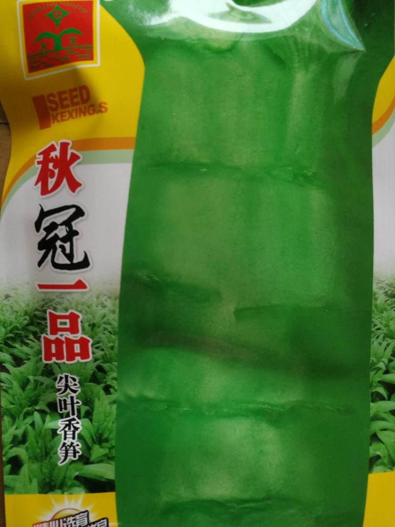 科兴春秋尖叶莴笋种子半耐热节稀肉绿(秋冠一品)30g