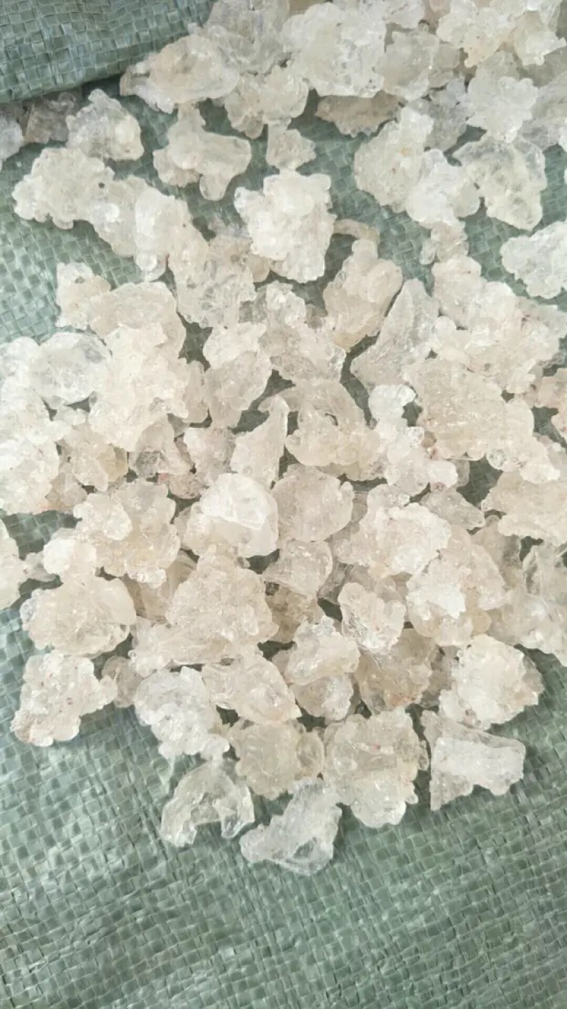 雪燕，缅甸拉丝雪燕，