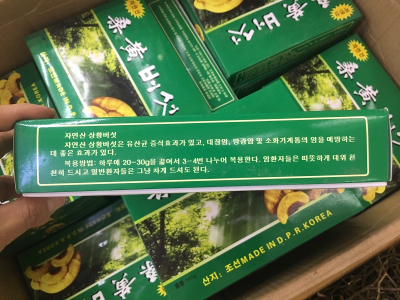 野生桑黄【大货批发】价格优势470g/盒，2盒起即发货