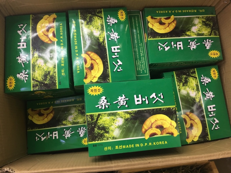 野生桑黄【大货批发】价格优势470g/盒，2盒起即发货