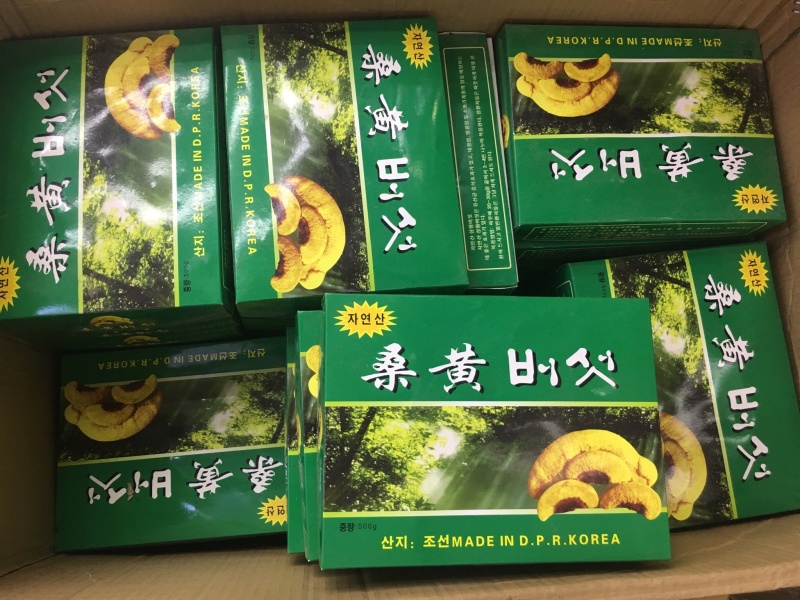 野生桑黄【大货批发】价格优势470g/盒，2盒起即发货