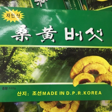 野生桑黄【大货批发】价格优势470g/盒，2盒起即发货