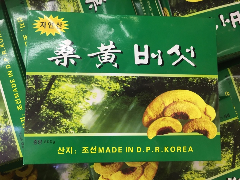 野生桑黄【大货批发】价格优势470g/盒，2盒起即发货