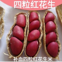 红花生米红花生可当种子东北红花生5斤包邮