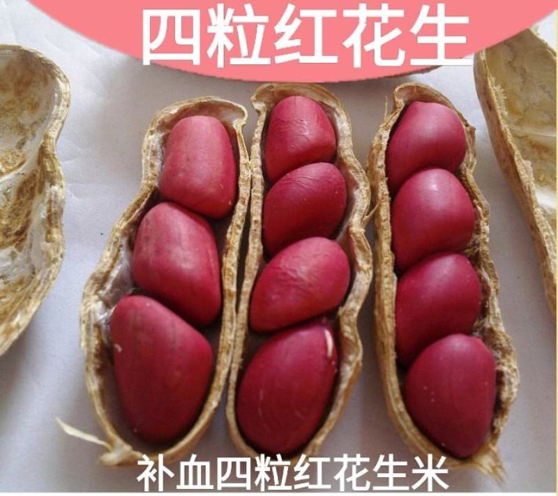 红花生米红花生可当种子东北红花生5斤包邮