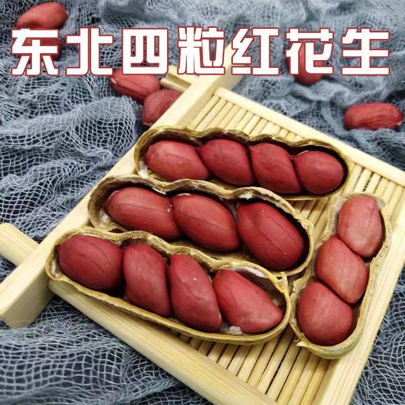 红花生米红花生可当种子东北红花生5斤包邮