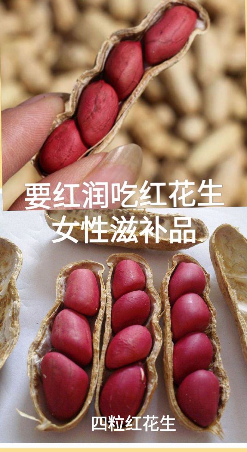 红花生米红花生可当种子东北红花生5斤包邮