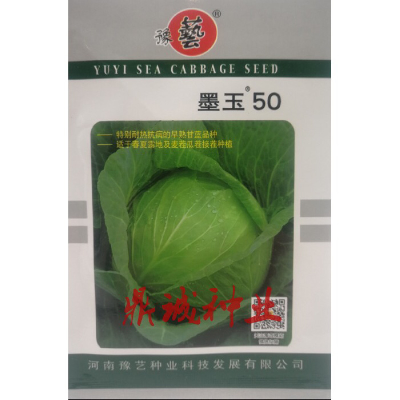 豫艺墨玉50甘蓝特别耐热抗病早熟