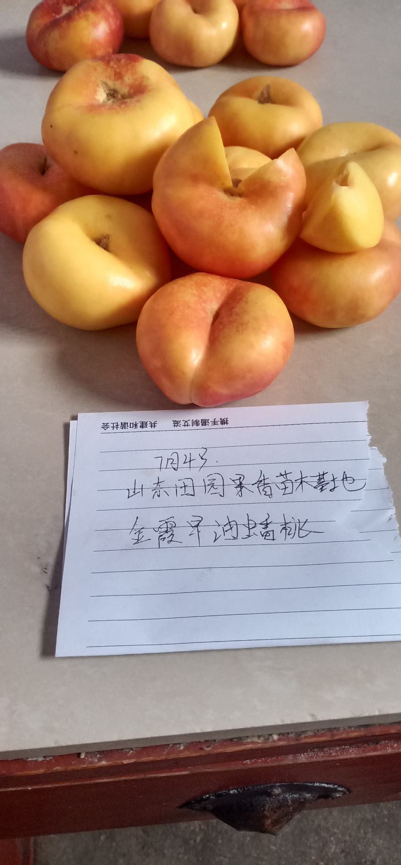 油蟠7-7桃苗6-6，36-5，明月油蟠桃金钱油蟠