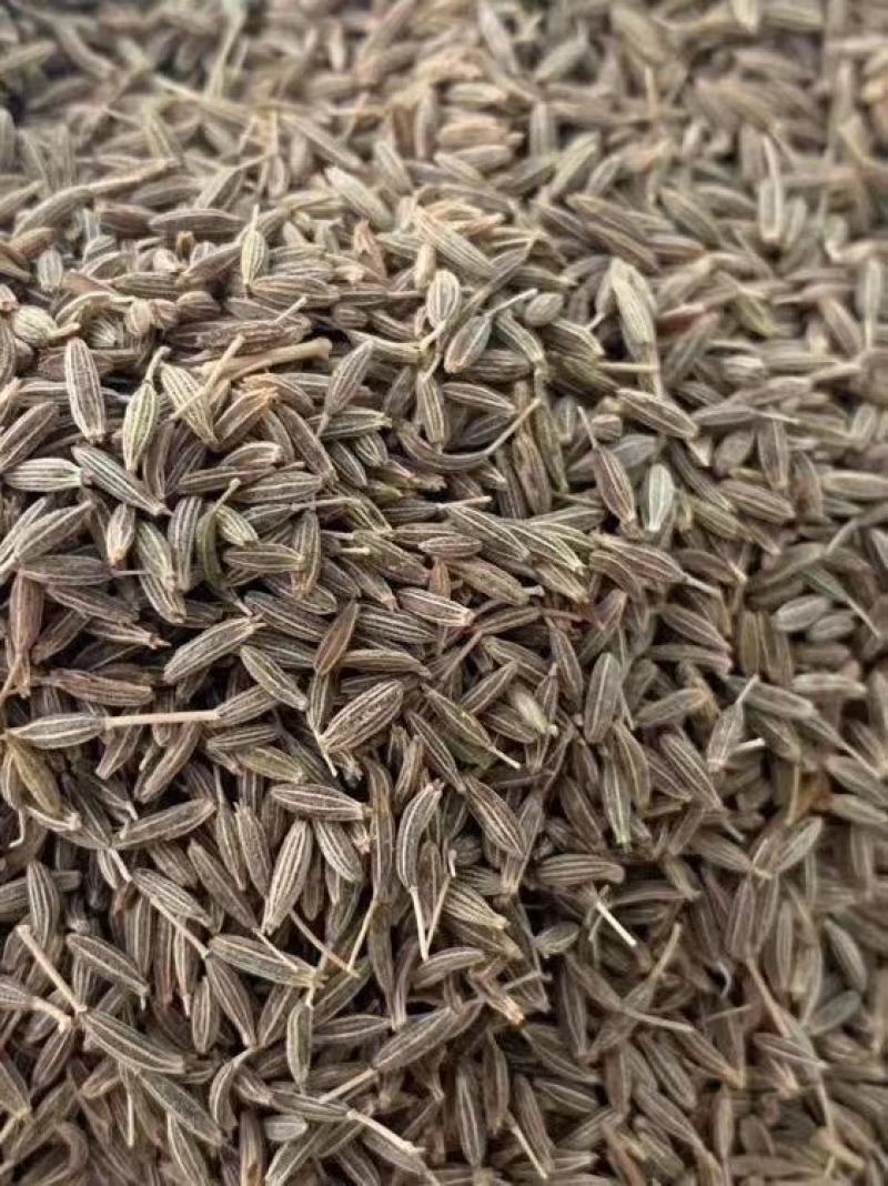 孜然粒烧烤调料撒料家用烧烤料商用调味料烤羊肉串可打粉爆油