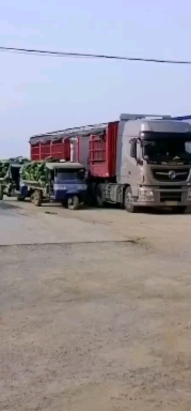 （精选）湖北黑皮冬瓜新鲜冬瓜，保质保量，产地代发